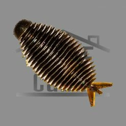 Secret Secret New To The Cabin Mr Ripley 4"