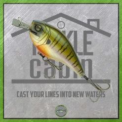 6th Sense New To The Cabin Axis Metal 2.0