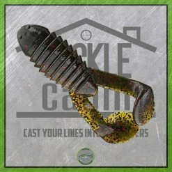 Gambler New To The Cabin Cane Toad 4