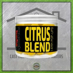 Munch Baits Pop-Ups New To The Cabin