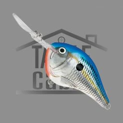Rapala New To The Cabin Dive-To Crank DT08