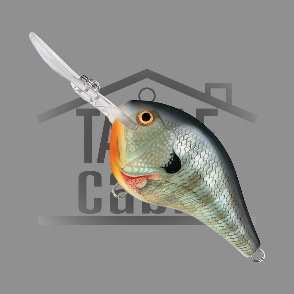 Rapala New To The Cabin Dive-To Crank DT06 3 Rapala New To The Cabin Dive-To Crank DT06