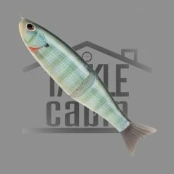 Storm Arashi Glidebait