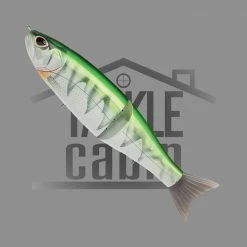 Storm Arashi Glidebait