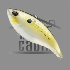 Storm Arashi Rattling Vibe 07 New To The Cabin