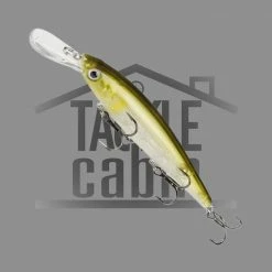 Strike King KVD Deep Diving Jerkbait New To The Cabin