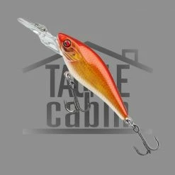 Daiwa Prorex Baby Crank 40MR New To The Cabin