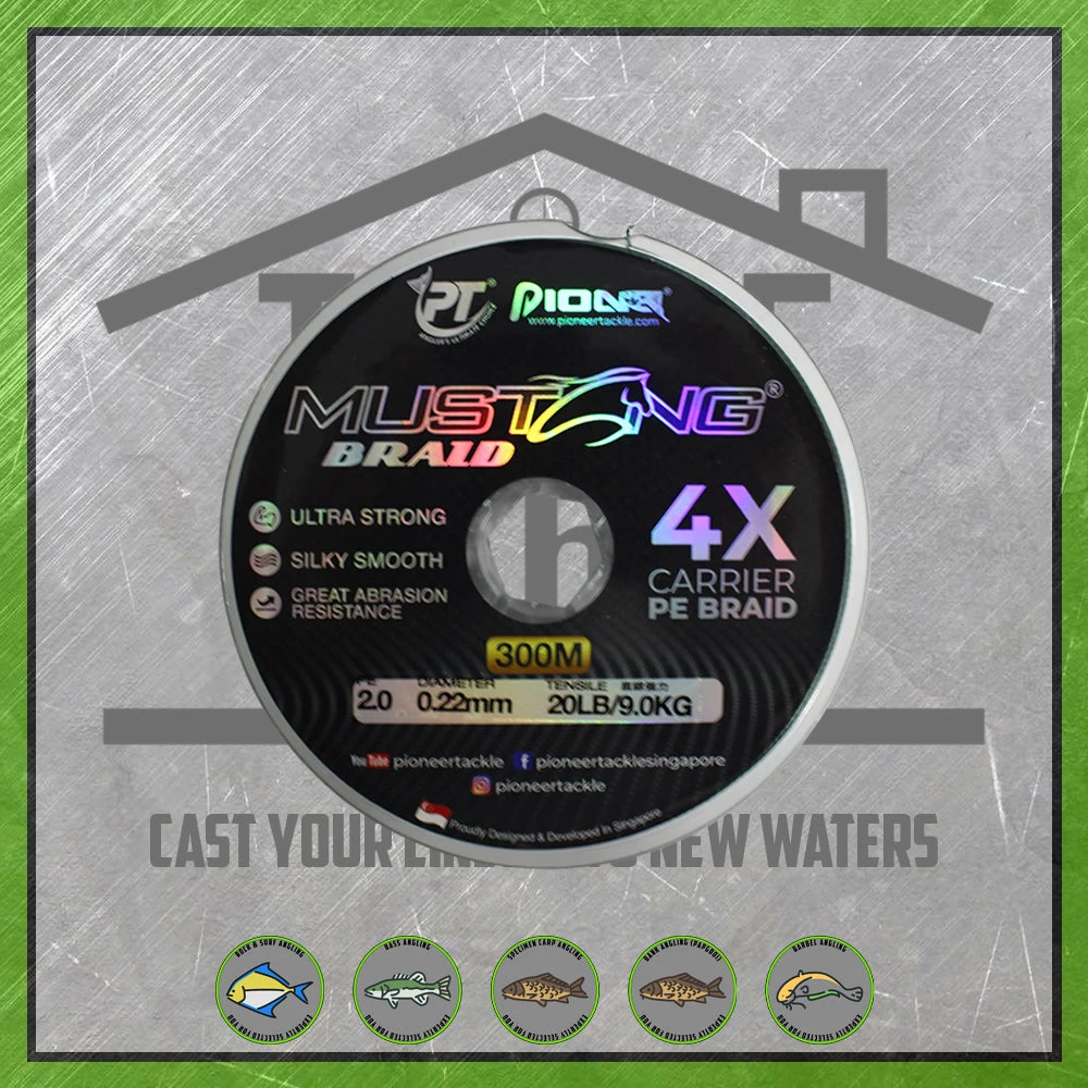 Pioneer Mustang 4X Braid New To The Cabin 3 Pioneer Mustang 4X Braid New To The Cabin