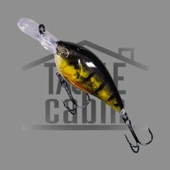 Sensation Mega Crank SD6 New To The Cabin