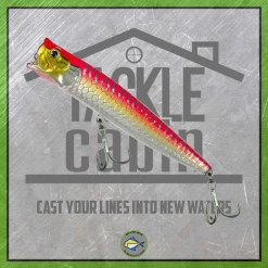 Molix Popper Tarpon 130T