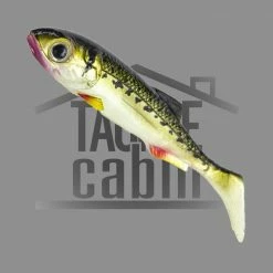 Molix Real Thing Shad 3.5" New To The Cabin