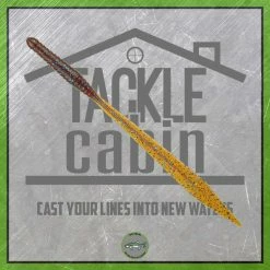 6th Sense New To The Cabin Ridge Worm 10