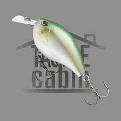 Storm Arashi Silent Square 5 New To The Cabin