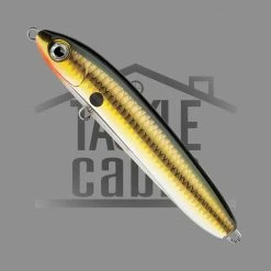 Rapala New To The Cabin Skitter V 10