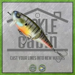 6th Sense Speed Wake 100