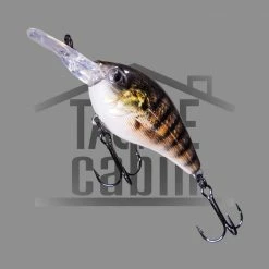 Sensation Mega Crank SD6 New To The Cabin