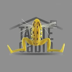 Daiwa Prorex Micro Frog 35DF New To The Cabin